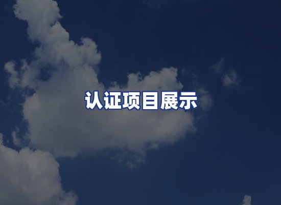 认证项目展示
